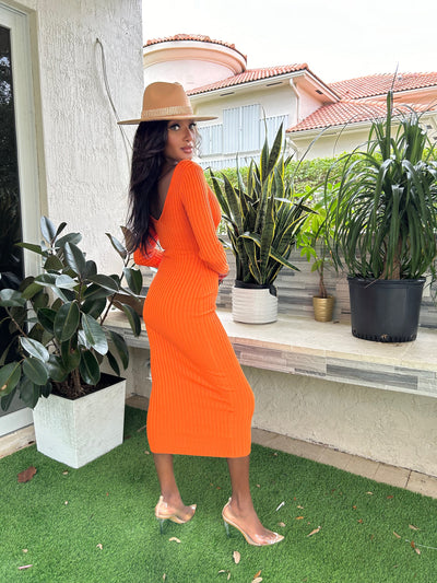 Cardi dress (orange) (dress)